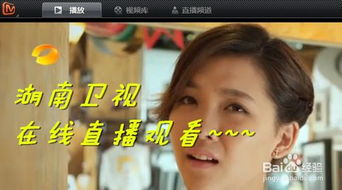 湖南卫视直播在线观看高清回放全攻略-观看技巧与平台推荐-第1张图片-佛山资讯网 湖南卫视直播在线观看高清回放全攻略-观看技巧与平台推荐-第1张图片-佛山资讯网
