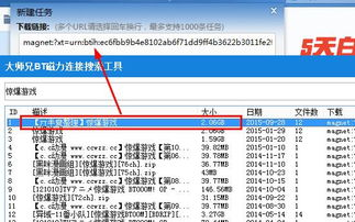 BT磁力链接使用指南-优势与安全措施解析-第1张图片-佛山资讯网