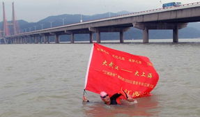 今日重大新闻事件汇总-实时更新与深度分析-第1张图片-佛山资讯网 今日重大新闻事件汇总-实时更新与深度分析-第1张图片-佛山资讯网