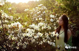 花间美学内涵与古典文学运用-传统文化在现代生活中的体现-第4张图片-佛山资讯网