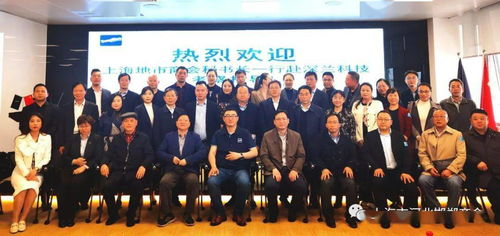 懒懒视频免费追剧软件大全-享受高清影视盛宴的秘诀-第4张图片-佛山资讯网 懒懒视频免费追剧软件大全-享受高清影视盛宴的秘诀-第4张图片-佛山资讯网