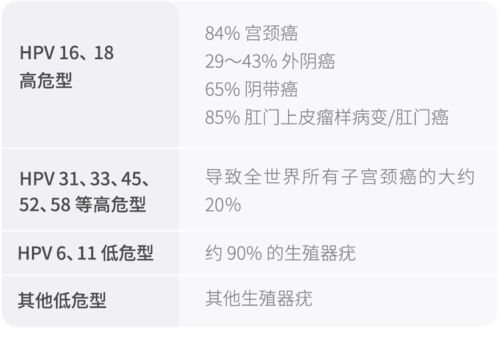 年轻人电影完整版在线观看, 提升观影体验的技巧与指南-第4张图片-佛山资讯网 年轻人电影完整版在线观看, 提升观影体验的技巧与指南-第4张图片-佛山资讯网