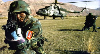 特种兵之利刃出鞘-训练、装备与战术解析-第3张图片-佛山资讯网