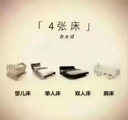 沈阳45岁阿姨的活力生活秘诀-健康与时尚并行-第4张图片-佛山资讯网 沈阳45岁阿姨的活力生活秘诀-健康与时尚并行-第4张图片-佛山资讯网