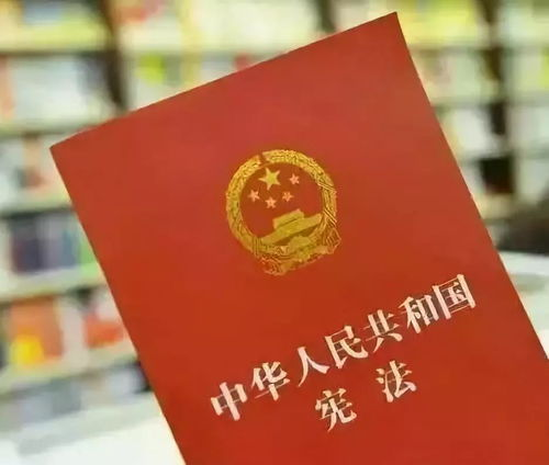 在线观看免费视频,安全与体验并存-策略与指南-第4张图片-佛山资讯网 在线观看免费视频,安全与体验并存-策略与指南-第4张图片-佛山资讯网