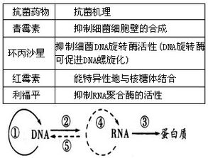 对乙酰氨基酚与布洛芬的区别及使用指南-第1张图片-佛山资讯网 对乙酰氨基酚与布洛芬的区别及使用指南-第1张图片-佛山资讯网