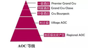 斗罗大陆动漫在线观看全攻略-高效查找优质资源-第4张图片-佛山资讯网