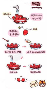 塑造完美小梨涡,日常护肤与微笑练习指南-第3张图片-佛山资讯网 塑造完美小梨涡,日常护肤与微笑练习指南-第3张图片-佛山资讯网