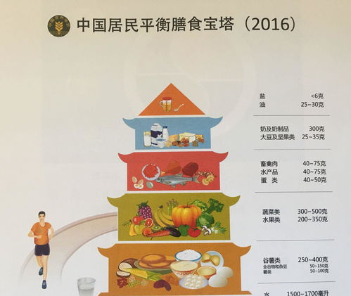 健康饮食,营养均衡的生活方式-实现健康的关键步骤-第1张图片-佛山资讯网 健康饮食,营养均衡的生活方式-实现健康的关键步骤-第1张图片-佛山资讯网