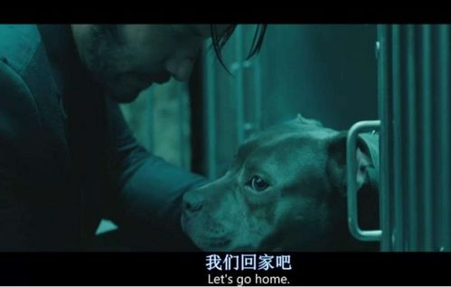 疾速追杀:网络安全防护策略与最佳实践解析-第1张图片-佛山资讯网 疾速追杀:网络安全防护策略与最佳实践解析-第1张图片-佛山资讯网