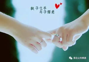 《婚后沦陷》,乔迹笔下婚姻生活的深度剖析-情感变迁与自我救赎-第1张图片-佛山资讯网 《婚后沦陷》,乔迹笔下婚姻生活的深度剖析-情感变迁与自我救赎-第1张图片-佛山资讯网