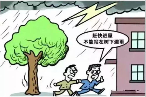 户外活动益处与建议-享受自然的生活艺术-第4张图片-佛山资讯网 户外活动益处与建议-享受自然的生活艺术-第4张图片-佛山资讯网