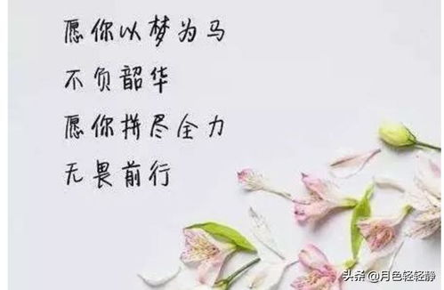 不负韶华,人生规划-高效利用时间的策略与方法-第1张图片-佛山资讯网