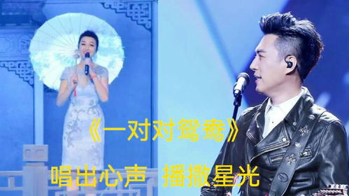 极乐鸳鸯:寻找与培养完美伴侣的秘诀-爱情深度解析-第3张图片-佛山资讯网 极乐鸳鸯:寻找与培养完美伴侣的秘诀-爱情深度解析-第3张图片-佛山资讯网