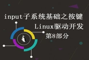 《我们都要好好的》电视剧免费观看全攻略-合法途径解析-第3张图片-佛山资讯网 《我们都要好好的》电视剧免费观看全攻略-合法途径解析-第3张图片-佛山资讯网