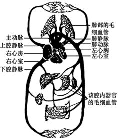 病态掠夺行为解析及其生态影响-现象背后的原因与对策-第3张图片-佛山资讯网