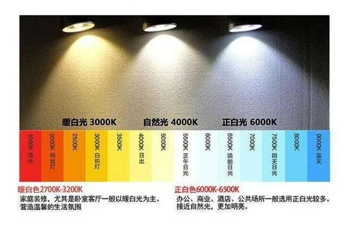 室内装修设计技巧,专业建议-打造理想居住环境-第4张图片-佛山资讯网 室内装修设计技巧,专业建议-打造理想居住环境-第4张图片-佛山资讯网