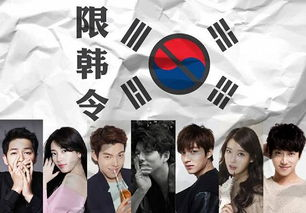 韩国市场交换策略与挑战解析-成功进入韩国市场的关键要素-第3张图片-佛山资讯网