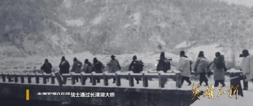 长津湖战役免费观看完整版高清-线上观影指南与战役解析-第2张图片-佛山资讯网 长津湖战役免费观看完整版高清-线上观影指南与战役解析-第2张图片-佛山资讯网
