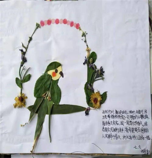 花蝴蝶日本视频中文解读-自然之美赏析-第1张图片-佛山资讯网 花蝴蝶日本视频中文解读-自然之美赏析-第1张图片-佛山资讯网