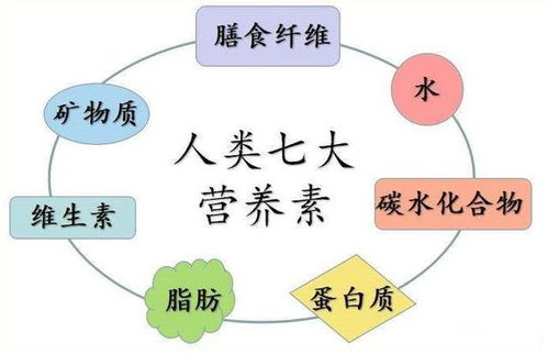身体与精神疲软原因解析-健康生活策略-第2张图片-佛山资讯网 身体与精神疲软原因解析-健康生活策略-第2张图片-佛山资讯网