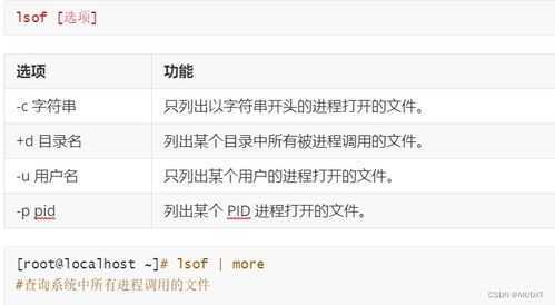 蚂蚁BT使用指南与优化技巧解析-第4张图片-佛山资讯网