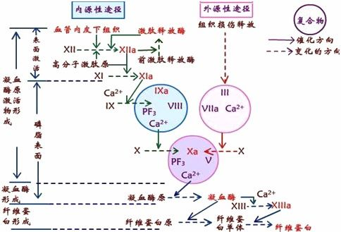 秒射问题解决方案解析-原因与对策全面剖析-第4张图片-佛山资讯网