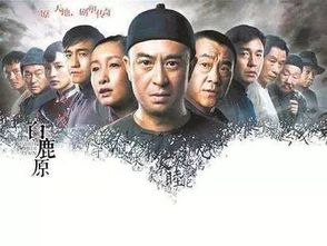 最好看的电视剧,观众口碑与品质解析-热门剧集推荐-第4张图片-佛山资讯网
