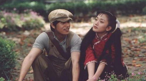 农村经典100部电视剧，记录时代变迁与生活真情-精选剧集盘点-第3张图片-佛山资讯网