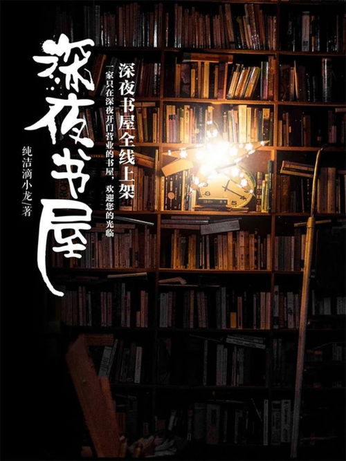 深夜书屋,都市中的宁静之地-探索与体验-第1张图片-佛山资讯网 深夜书屋,都市中的宁静之地-探索与体验-第1张图片-佛山资讯网