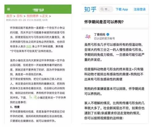 兜兜动漫,打造个性化动漫体验-SEO优化策略解析-第4张图片-佛山资讯网