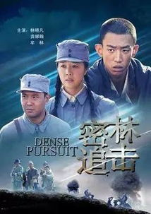 怀旧老电视剧大全,重温经典时代记忆-精选剧集推荐-第2张图片-佛山资讯网
