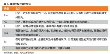 湖南卫视跨年演唱会,精彩纷呈的年度盛宴-筹备与亮点解析-第3张图片-佛山资讯网