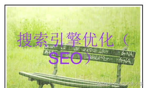 关键词优化策略,提升网站排名-内容优化深度解析-第3张图片-佛山资讯网