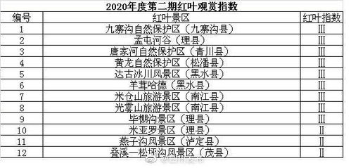 中国好声音最新一季,导师与选手全新亮相-音乐盛宴解析-第3张图片-佛山资讯网