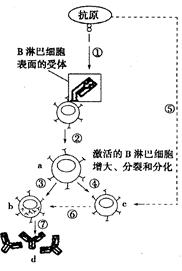 几天不见怎么这么湿-原因分析与解决策略-第1张图片-佛山资讯网 几天不见怎么这么湿-原因分析与解决策略-第1张图片-佛山资讯网