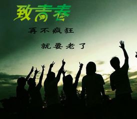 2024年最新港剧推荐-精彩剧集大揭秘-第3张图片-佛山资讯网 2024年最新港剧推荐-精彩剧集大揭秘-第3张图片-佛山资讯网