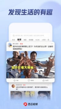 西瓜影院在线观看体验与优化策略-第4张图片-佛山资讯网