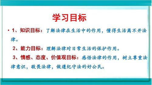 日本19岁上大学上网课，灵活性与挑战并存-第4张图片-佛山资讯网