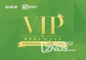 爱奇艺官网，高品质视频观看体验-全面内容解析-第3张图片-佛山资讯网