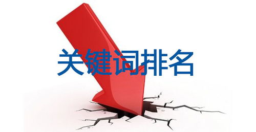 bt种子磁力搜索技巧与注意事项-高效下载解决方案解析-第3张图片-佛山资讯网