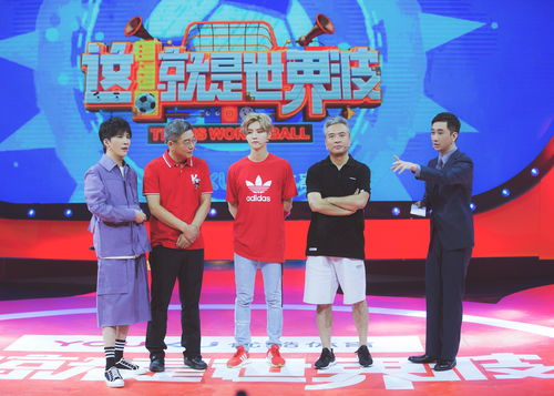 CCTV世界杯直播,提升观赛体验-直播技术解析-第1张图片-佛山资讯网