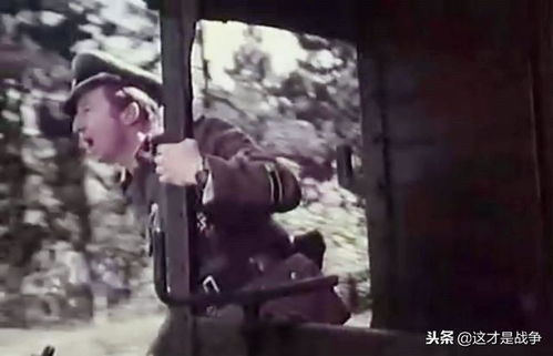 10大悍匪改编电视剧，真实案件背后的故事再现-影视作品解析-第2张图片-佛山资讯网
