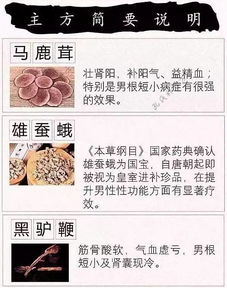三分钟就完事了是不是肾虚-症状识别与应对策略-第4张图片-佛山资讯网
