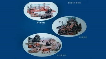 电视剧1 36集剧情详细介绍-精彩剧情逐集解析-第4张图片-佛山资讯网