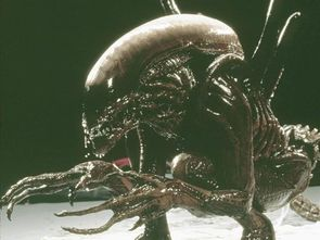 异形大战铁血战士:宇宙顶级猎手巅峰对决解析-第1张图片-佛山资讯网 异形大战铁血战士:宇宙顶级猎手巅峰对决解析-第1张图片-佛山资讯网