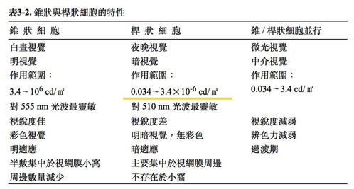 适合夫妻的SUV选购指南-安全与舒适兼备的车型推荐-第2张图片-佛山资讯网 适合夫妻的SUV选购指南-安全与舒适兼备的车型推荐-第2张图片-佛山资讯网