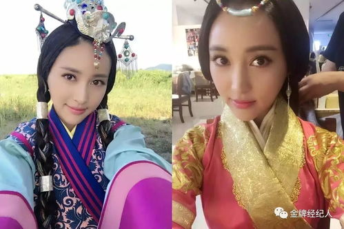 热门破案网剧，剧情与推理的精彩碰撞-精彩案例解析-第2张图片-佛山资讯网