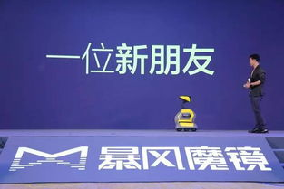 热门破案网剧，剧情与推理的精彩碰撞-精彩案例解析-第4张图片-佛山资讯网