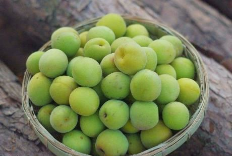 蜜汁青梅制作工艺与营养价值解析-传统与现代结合的美食体验-第3张图片-佛山资讯网 蜜汁青梅制作工艺与营养价值解析-传统与现代结合的美食体验-第3张图片-佛山资讯网